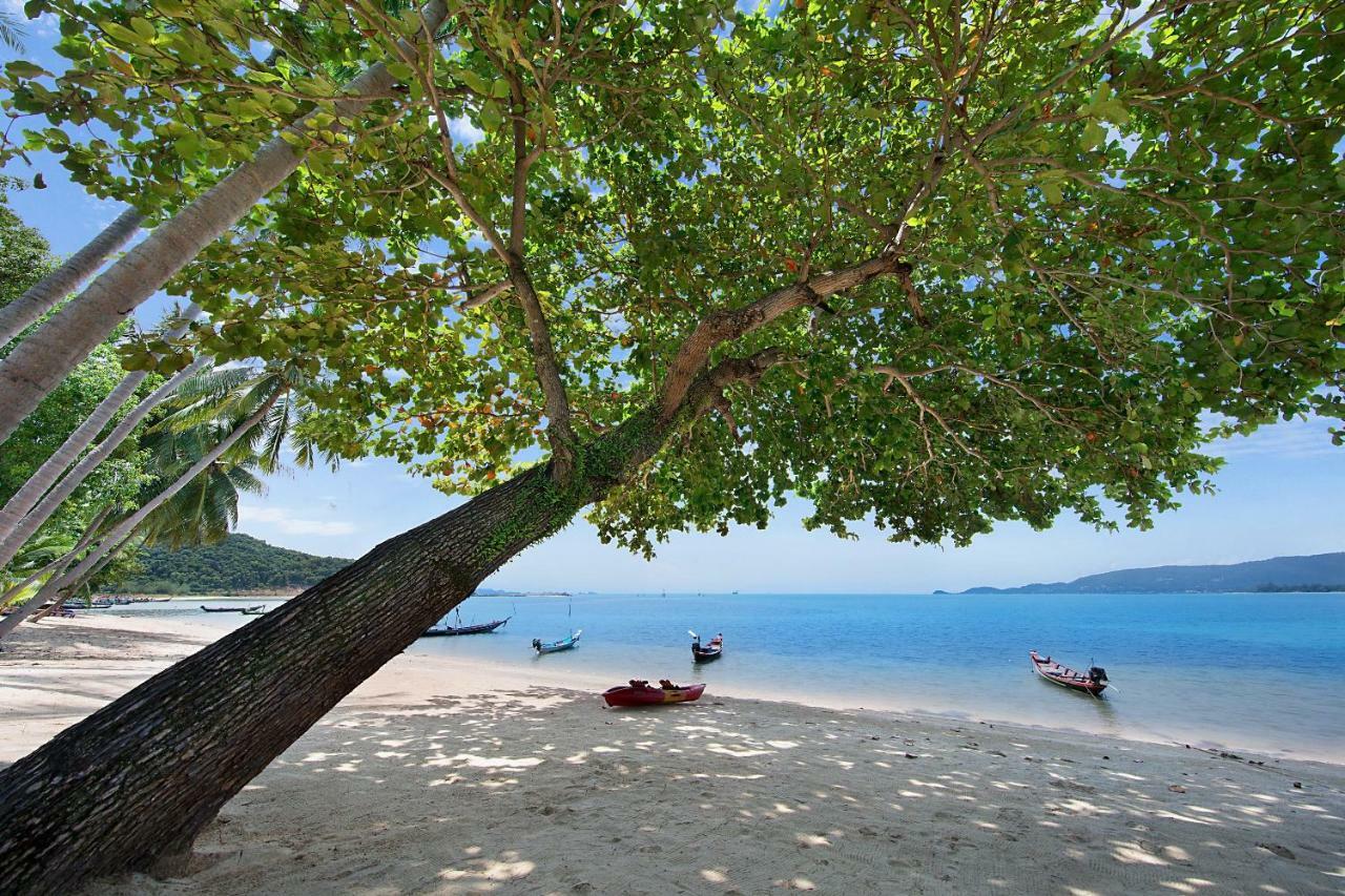 Baan Chao Lay Villa Lipa Noi Bagian luar foto